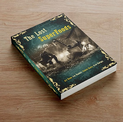 The Lost Book of SuperFoods